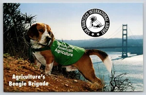Postal de perros de brigada Beagle de agricultura aeropuerto internacional de San Francisco - Imagen 1 de 2