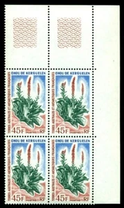 TAAF 1972 French Antarctic,Kerguelen Cabbage,Chou,Kohl,Cavolo,M.81,Bl.x4,MNH - Picture 1 of 2