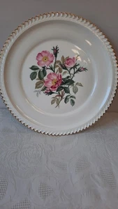 Harker Pottery Co Vintage 22 Kt Goldrand Floral Rosa Wildrose 10" Essteller. - Bild 1 von 5