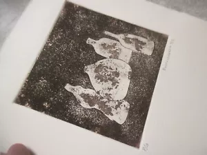 Beatrice Beo Beatrize Zapeda Zepeda Pinky Signed color etching P/A Mexican Still - Picture 1 of 5