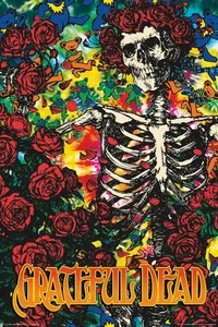 T148 Grateful Dead Concert Nice Refrigerator Magnet 4 by 6 Inches - Picture 1 of 1