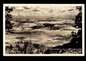 RPPC - FELDER von WEIZEN & ERBSEN im PALOUSE COUNTRY bei Gräbern * STEPTOE BUTTE - Bild 1 von 4