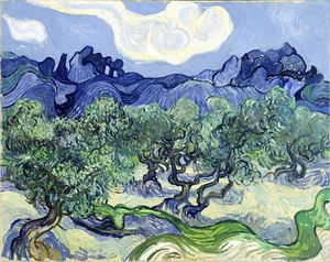 The Olive Trees By Vincent Van Gogh Giclee Archival Fine Art Paper Reproduction - Picture 1 of 2