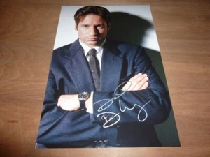 DAVID DUCHOVNY signed 12X8 Foto X-FILES + COA - Bild 1 von 2