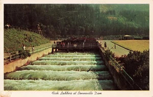 Fish Ladders at Bonneville, Oregon PC d'epoca pubblicato 1963 - Foto 1 di 2