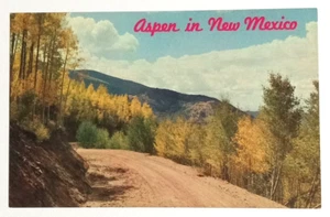 Espenbäume in New Mexico Herbst Herbst Laub NM UNP Petley Postkarte um 1960er Jahre - Bild 1 von 2