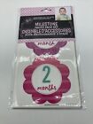 New Milestone Photo Prop Sticker Set Pink and Purple Flowers with Months