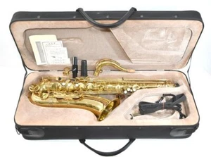 Saxofón tenor YANAGISAWA T-900μ con estuche rígido envío gratuito desde Japón - Imagen 1 de 10