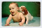 Szczeniak Pies Gryzie ucho dziecka Śmieszne Śliczne Vintage Pocztówka BRY27