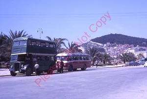 Orig Dia 50er Jahre grün Doppeldecker Bus & Reisebus Straßenrand exotische Lage 229N - Bild 1 von 1
