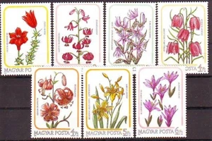 HUNGRÍA - 1985. Lily Family - MNH - Imagen 1 de 1