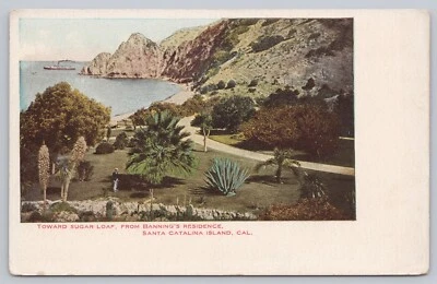 c 1905 Sugar Loaf Santa Catalina Island California Antique Postcard - Image 1 of 2