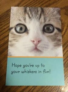 Happy Birthday Friend Niece Sister Daughter - Cat 5”x7” Hallmark Greeting Card - Picture 1 of 5