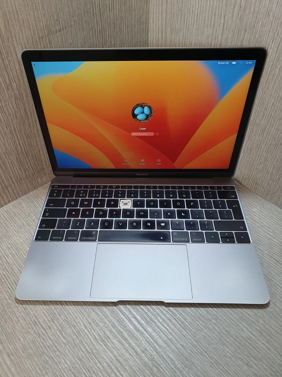 2017 Apple MacBook 12 Inch Laptops for sale | eBay UK