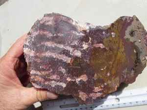 3495 MARY ELLEN JASPIS GROB, FOSSILE STROMATOLITHE. BIWABIK, MN. - Bild 1 von 3