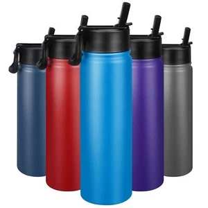 24 Oz Insulated Water Bottle With Straw Stainless Steel Double Wall Vacuum Therm - Picture 1 of 7