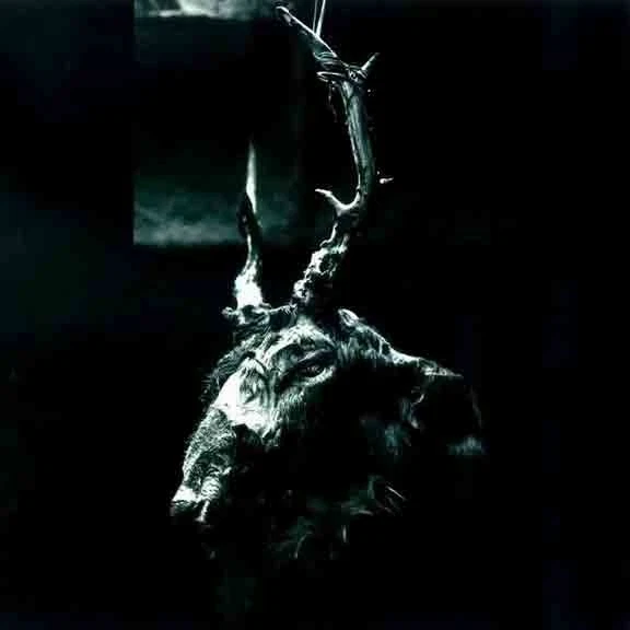 Blue Sabbath Black Cheer - Dead Death Death Dead LP Vinyl Record NEW HARSH NOISE - Image 1 of 1