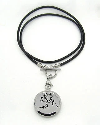 Stainless Steel Dog Pit Bull Aromatherapy Oil Locket Pendant Necklace Pads - Image 1 of 3