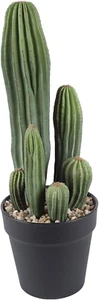 16 inch Artificial Saguaro Cactus Faux Plants with Black Pot Home Office Dcor - Picture 1 of 8