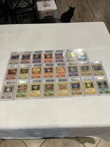 23 Jungle Japanese And English Pokémon Cards All Beckett Graded - Picture 1 of 8