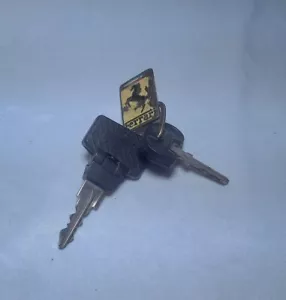 Original Ferrari Keys and Fob from 1985 Mondial 8 Cabriolet - Picture 1 of 11