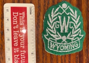 Vintage Shield Shaped Golf Patch Wyoming Golf Club For Cap Shirt Green Silver - Picture 1 of 3