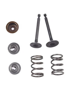High Quality Exhaust Valve Spring Accessories Garden Supplies Intake Valve - Picture 1 of 12