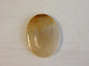 Fossil Palm Wood Cabochon - Picture 1 of 6