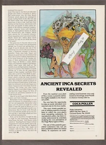 Vintage 1979 COCA POLLEN Magazine AD ~ ANCIENT INCA SECRET ~ Coconut Grove, FL. - Picture 1 of 1