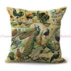 Adolphe Millot oiseaux Tropical Birds vintage French art cushion cover