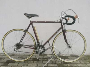Puch Steyr-Dailmer INTER 10, DURA ACE black crane 1st. generation, totaluberholt - Bild 1 von 9
