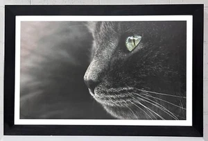 CaldoQuadro 110x73 cm realizzato in alluminio con una resistenza interna di 600W - Foto 1 di 24