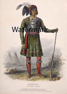 McKenney Hall Indian - ASSEOLA, A SEMINOLE LEADER - 17x22 LARGE Print - Picture 1 of 4