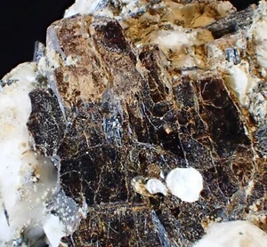 SELTENE AEGIRINE KUPLETSKITE ANCYLITE (Ce) Kristalle feines Mineral Präparat MSH - Bild 1 von 4