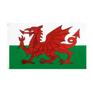 Bandera de Gales 5 pies * 3 pies 150 cm * 90 cm bandera grande Baner Cymru Y Ddraig Goch - Imagen 1 de 1