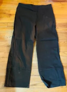 Patagonia Skyline Women's Touring Pants Brown Stretch Hiking Camping Size 12 - Picture 1 of 2