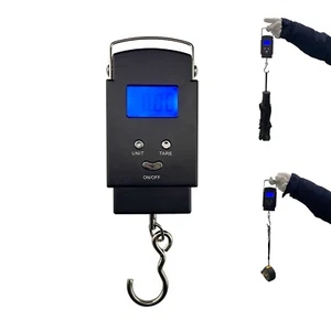 Bilancia elettronica portatile 0,04-110 libbre per verdure/consegna espressa - Foto 1 di 19
