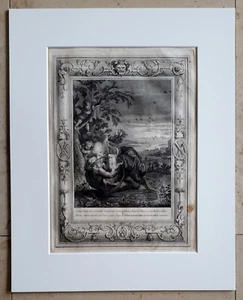Bernard PICART (1673-1733) Grosser Kupferstich Anno 1731 : Tithon als Grille - Bild 1 von 12