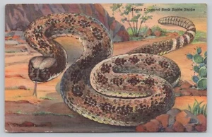 Postal de lino de serpiente de cascabel con espalda de diamante de Texas sin publicar - Imagen 1 de 2