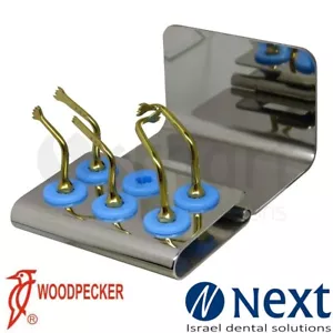 Kit Punta Piezoquirúrgica Pájaro Carpintero - Osteotomía DTE para Cirugía - X 5 Punta Original - Imagen 1 de 3