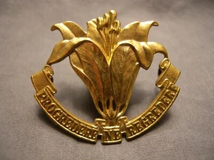 ASSINIBOIA REGIMENT PRE WWII CAP BADGE 1925 M.140 CANADA PROGREDERE NE REGREDERE - Picture 1 of 8