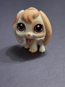 Littlest Pet Shop Hase Schlappohr - Bild 1 von 3