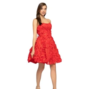 Terani Couture jeweled floral applique bustier dress sz 12 RUNS SMALL 1911P8057 - Picture 1 of 11