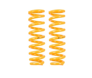 Kings Rear Raised Coil Springs - Picture 1 of 1