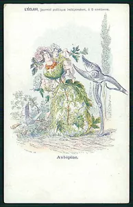Grandville Flower People Art Nouveau original old postcard 1900s hawthorn - Picture 1 of 2