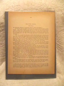 Vintage~Beagle~5 Page Chapter~The Illustrated Book of the Dog~1881~In Plastic - Imagen 1 de 14