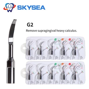 1-10 Dental Ultraschall Piezo Scaler Spitzen G2 passend Specht EMS Handstück - Bild 1 von 9