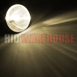 HID-Warehouse AC Replacement Bulb D3S/D3R 10K 43K 5K 6K 8K - Picture 1 of 6