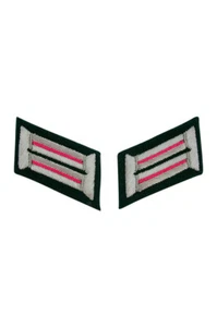 WWII German Heer Panzer Officer Collar Tabs - Bild 1 von 1