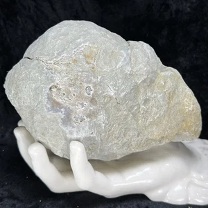 4-1/2” Unopened Geode in Limestone Matrix Quartz Crystal Uncut Rattler 2.8Lb - Picture 1 of 11